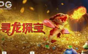 333体育2024最新版